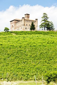 Grinzane Cavour Castle with vineyard, Piedmont, Italy