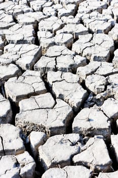 dry soil, Parc Regional de Camargue, Provence, France