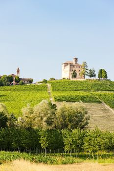 Grinzane Cavour Castle with vineyard, Piedmont, Italy