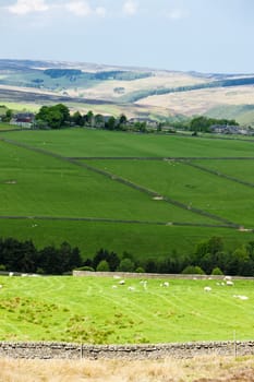 The Pennines, Northumberland, England