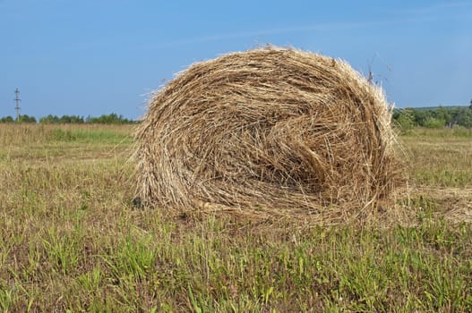Bale of hay in the field, sunny summer day