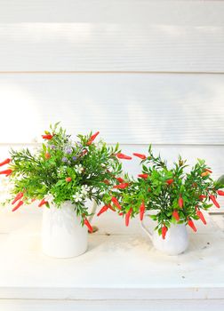 decorated flower in garden