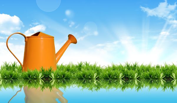 watering can on the grass with the bright sky.