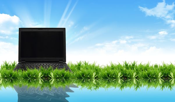 laptop on the grass with the bright sky