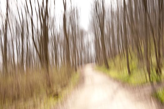 Surreal scene wizh blurring trees