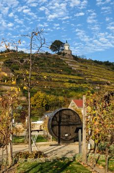 Country scene in Schloss Wackerbarth, on the Saxony's Wine Road