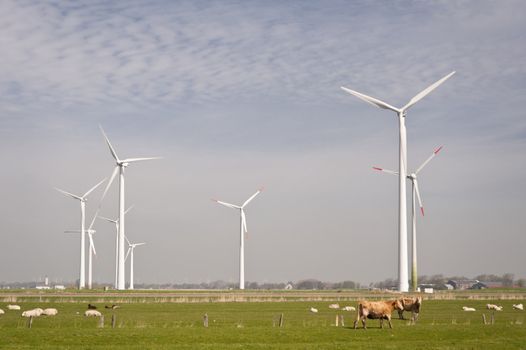 Wind generators in northern Germany