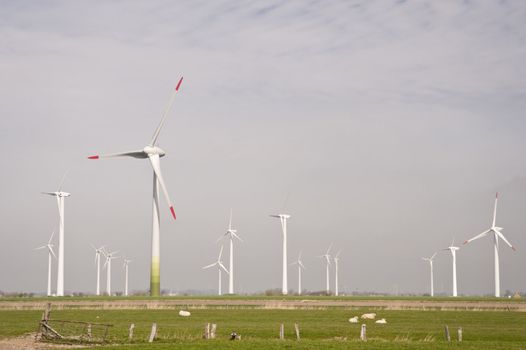 Wind generators in northern Germany