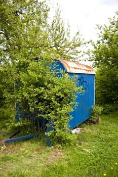 scene in a herb garden