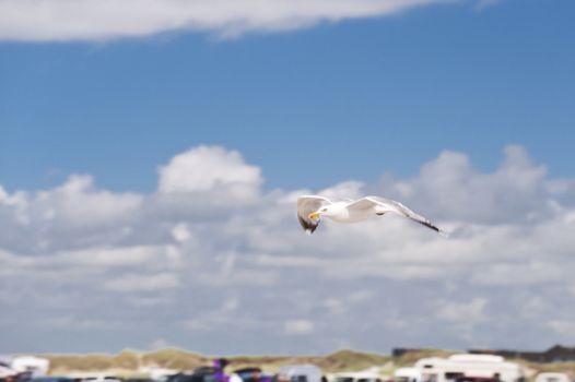 Beach of St. Peter-Ording, Germany