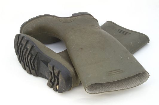 Wellington boots against a plain white background.