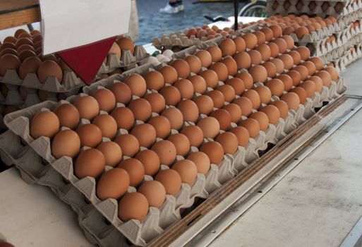 eggs for sale on the market