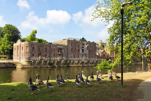 River park in York, UK