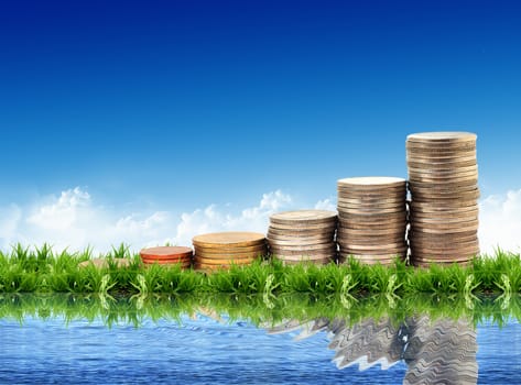 coins isolated on natural background