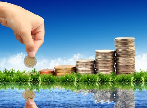 coins isolated on natural background