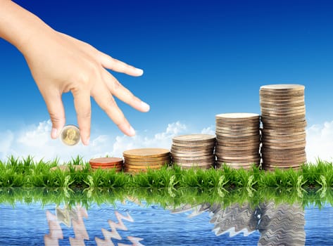 coins isolated on natural background