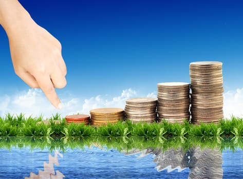 coins isolated on natural background