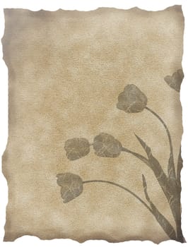 textured old paper background with tulips