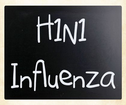 Images of the H1N1 Influenza Virus