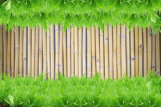 green grass on bamboo background