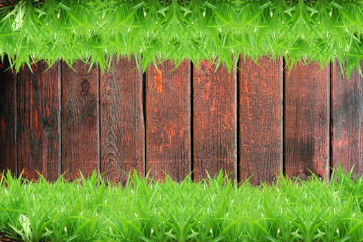 Fresh green grass on Wood background