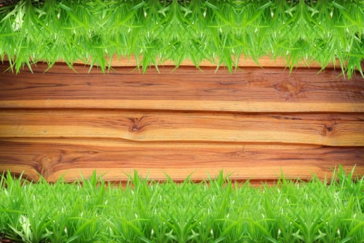 Fresh green grass on Wood background