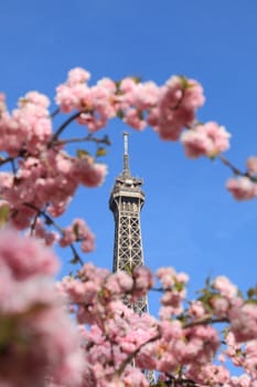 Detail of the top of The Eiffel Tour seen through branches of blossoming tree in spring.