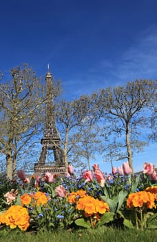 Image of the famous Eiffel Tower seen from a flower garden, behind some bare trees in spring.