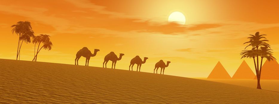 Camels walking in the desert between palmtrees and towards pyramids by sunset