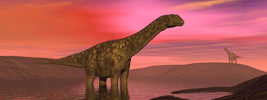 Two dinosaur argentinosaurus in desert landscape by red sunset