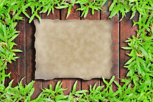 Fresh green grass on Wood background