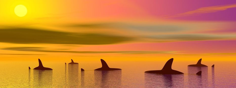 Several sharks in the ocean by sunset