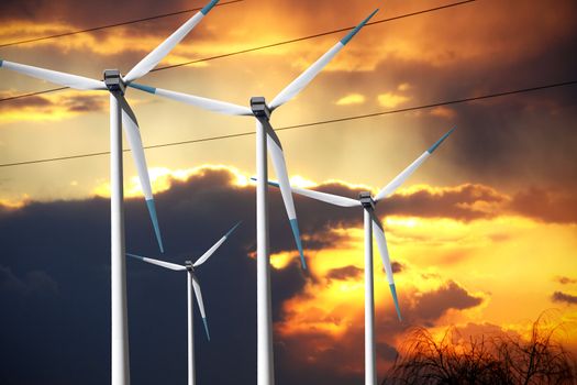 Windmills at sunset