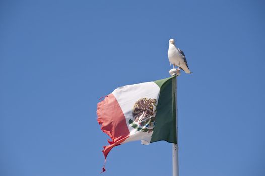 flag in front of blue sky