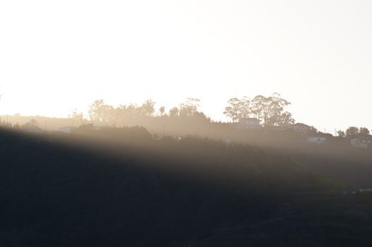 scene in portugal / island of madeira