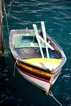 scene in portugal / island of madeira