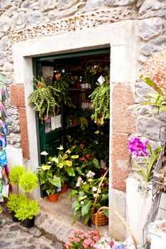 scene in portugal / island of madeira