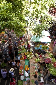 scene in portugal / island of madeira / funchal / mercado dos lavradores