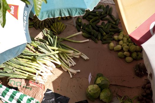scene in portugal / island of madeira / funchal / mercado dos lavradores