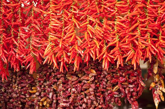 scene in portugal / island of madeira / funchal / mercado dos lavradores