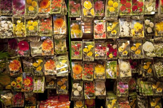 scene in portugal / island of madeira / funchal / mercado dos lavradores