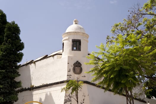 scene in portugal / island of madeira