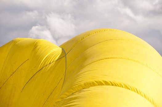 Hot air balloon, Balloon-Sail 2010, Kiel, Germany