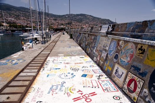 scene in portugal / island of madeira