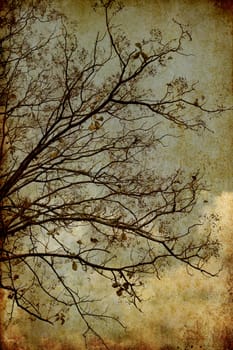 Grunge image of silhouette tree