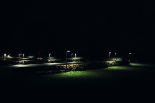 Very nice execution of a photographer, quiet, romantic night in a park in Berlin