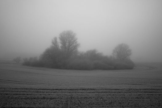 Early morning in the quiet hamlet of Belarus, here you can see the endless fog after the rain ..