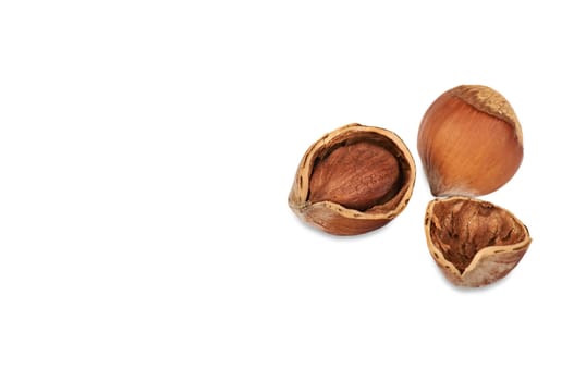 Two nuts a filbert and one kernel of a nutlet in a shell isolated on a white background. 
