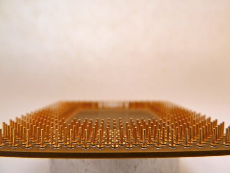 closeup of gold pins on a microprocessor