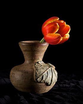 A short stemmed tulip in a clay vase lit dramatically